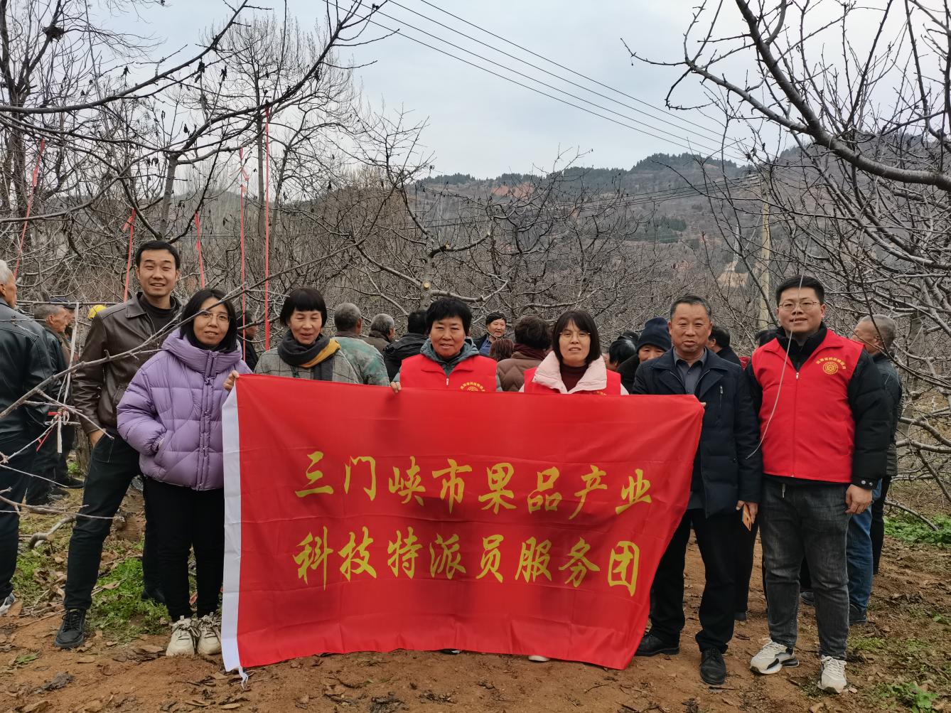 三门峡市果品产业科技特派员服务团举办大樱桃冬季管理技术培训会(图1)