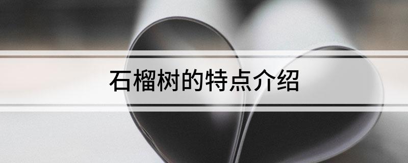 石榴树的特点介绍(图1)